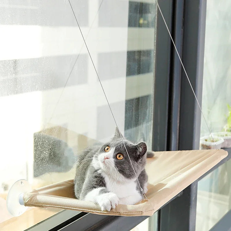 CatChil - Katzen Hängematte