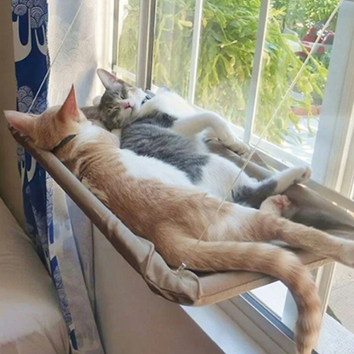 CatChil - Katzen Hängematte